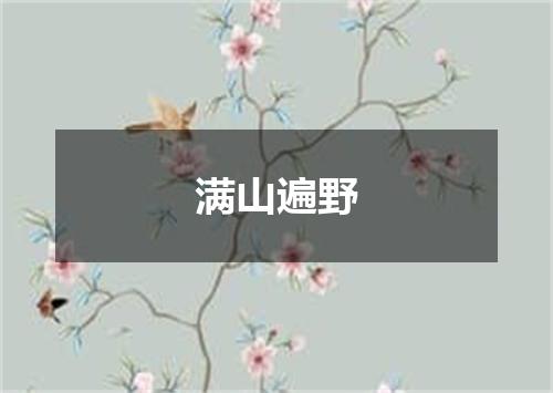 满山遍野
