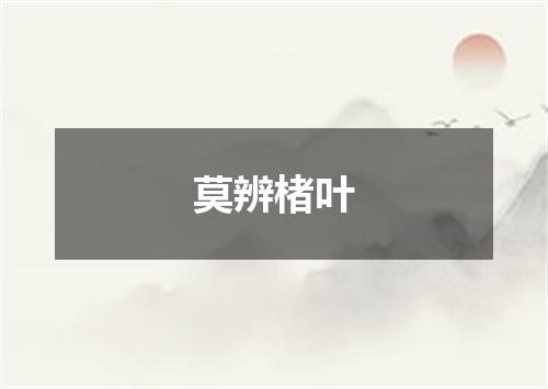 莫辨楮叶