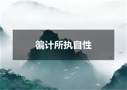 徧计所执自性