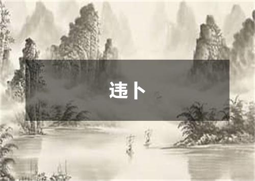 违卜
