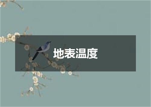 地表温度