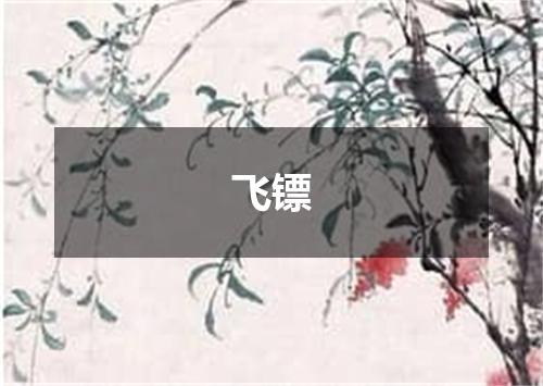 飞镖