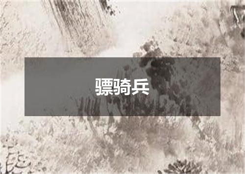 骠骑兵
