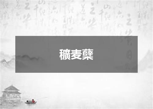 穬麦蘖