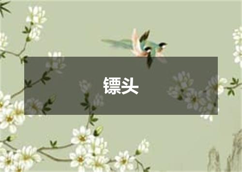 镖头