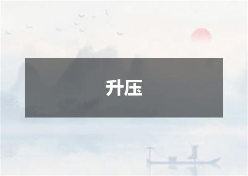 升压