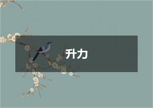 升力