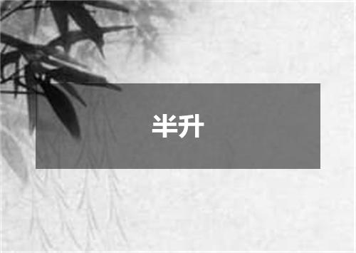 半升