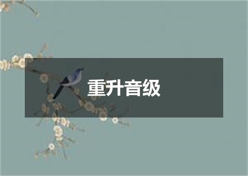 重升音级