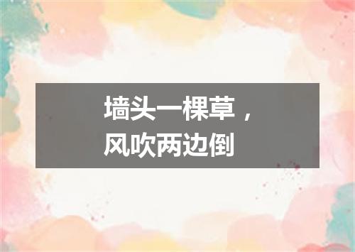 墙头一棵草，风吹两边倒