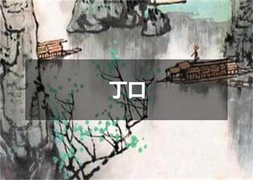 丁口
