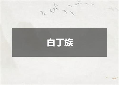 白丁族