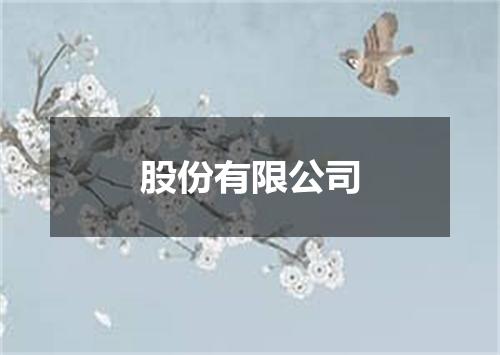 股份有限公司