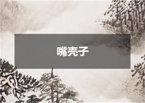 嘴壳子
