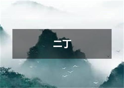 二丁