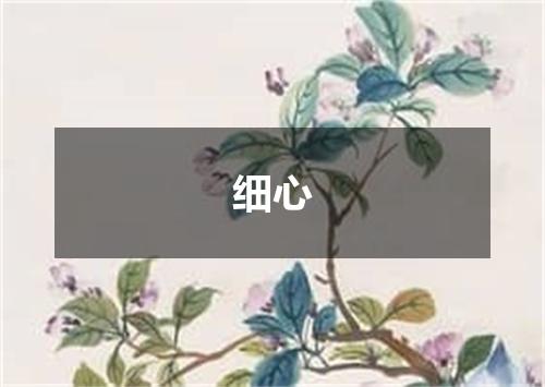 细心