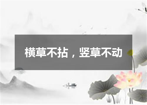 横草不拈，竖草不动
