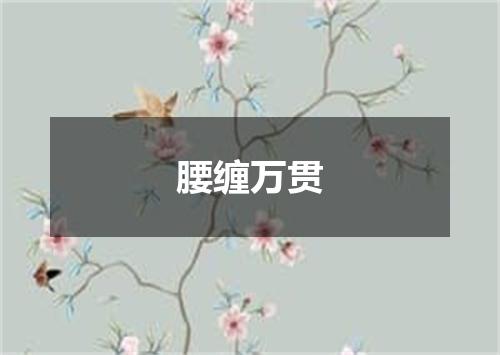 腰缠万贯