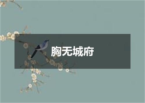 胸无城府