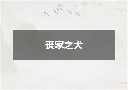 丧家之犬