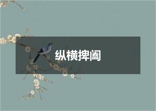 纵横捭阖
