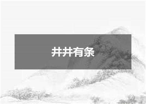 井井有条