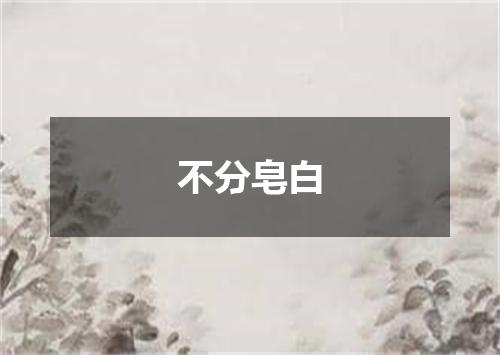 不分皂白