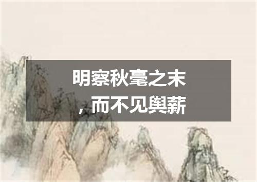 明察秋毫之末，而不见舆薪