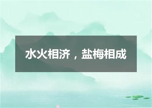 水火相济，盐梅相成