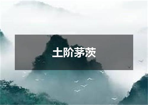 土阶茅茨