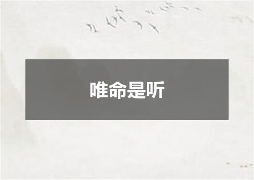 唯命是听