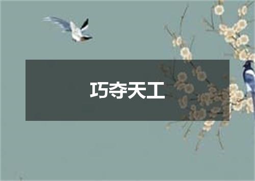 巧夺天工