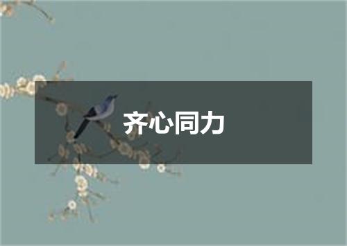 齐心同力