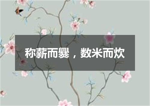 称薪而爨，数米而炊