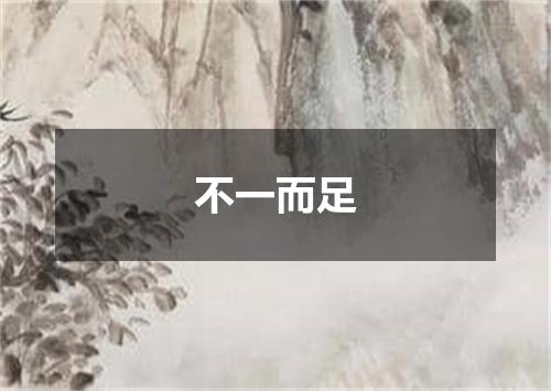 不一而足