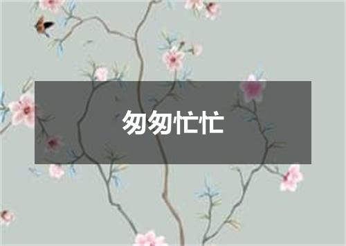 匆匆忙忙