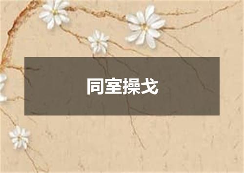 同室操戈