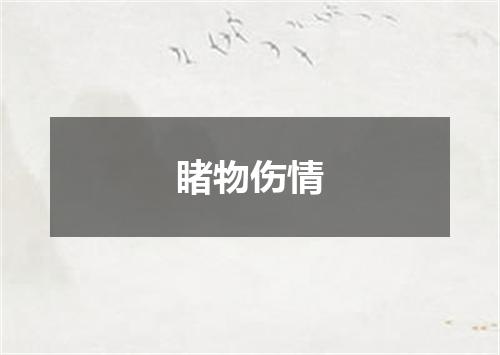 睹物伤情