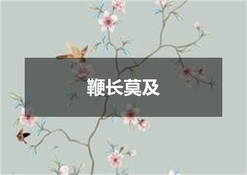 鞭长莫及