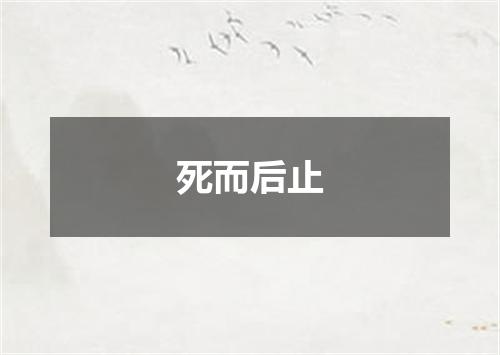 死而后止
