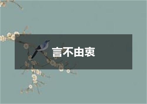 言不由衷