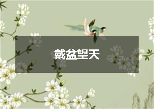 戴盆望天