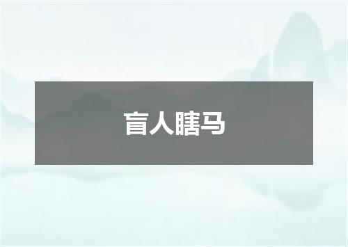 盲人瞎马
