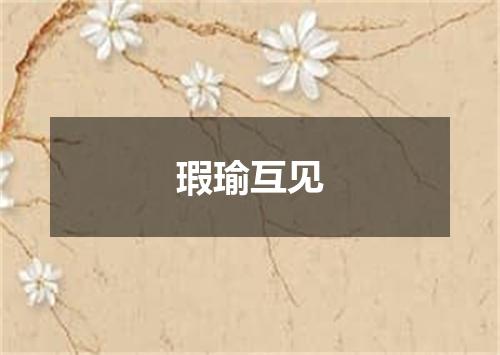 瑕瑜互见