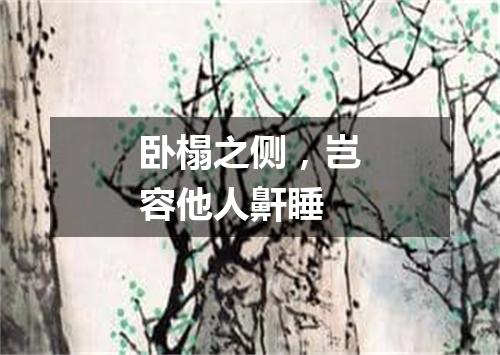 卧榻之侧，岂容他人鼾睡
