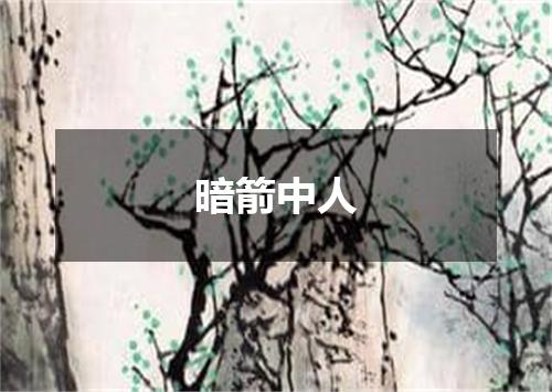 暗箭中人