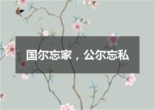国尔忘家，公尔忘私