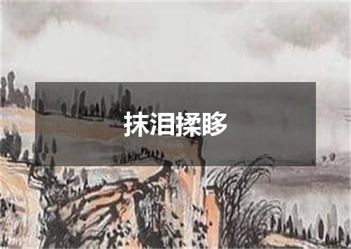 抹泪揉眵