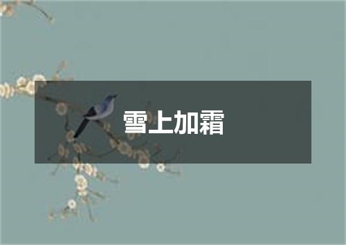 雪上加霜