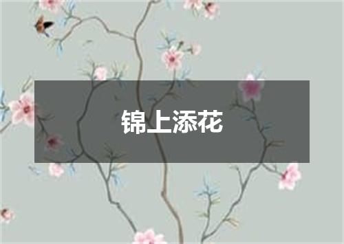 锦上添花